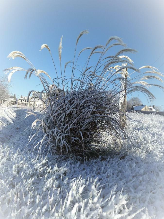 Le Gite Du Chene Rouvre Corbeil-Cerf Dış mekan fotoğraf